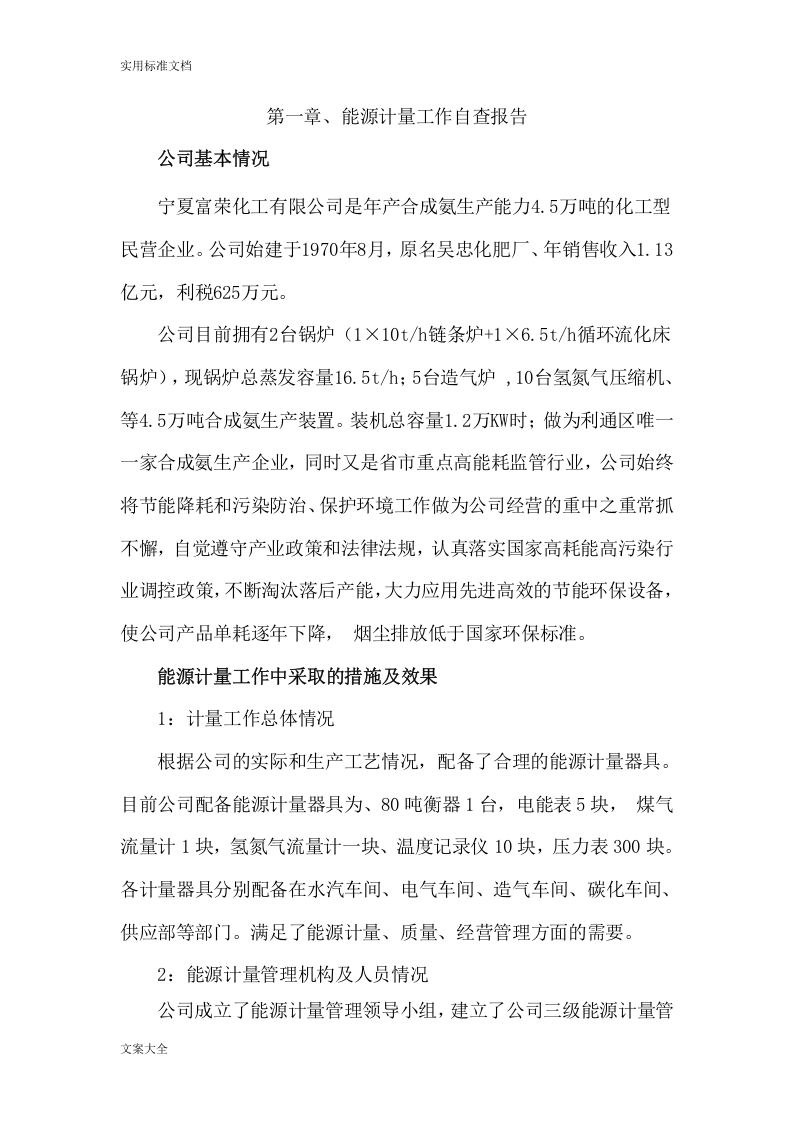 能源计量审查报告材料.doc 第2页