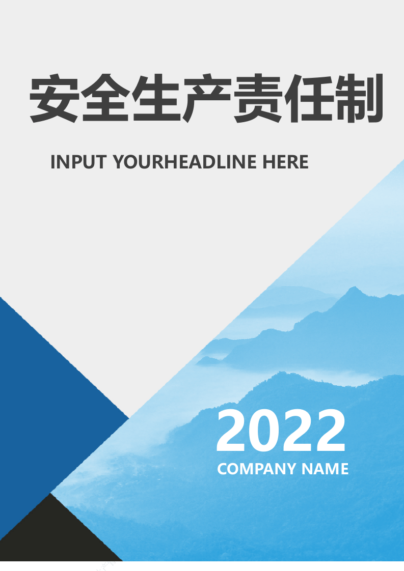 2022版企业安全生产责任制范本.doc 第1页
