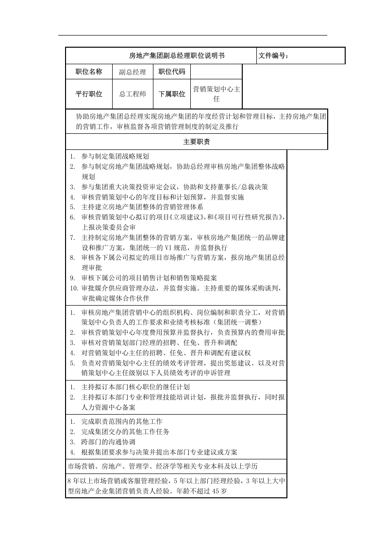 房地产集团副总经理岗位说明书.doc 第1页
