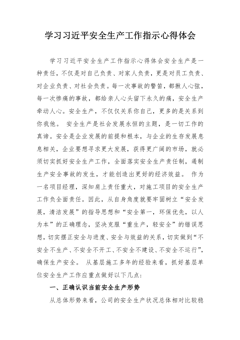 学习总书记安全生产工作指示心得体会.docx 第1页