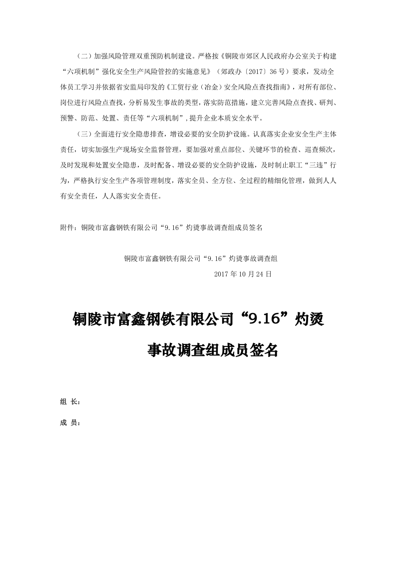 铜陵市富鑫钢铁有限公司&ldquo;9.16&rdquo; 灼烫事故调查报告.docx 第5页