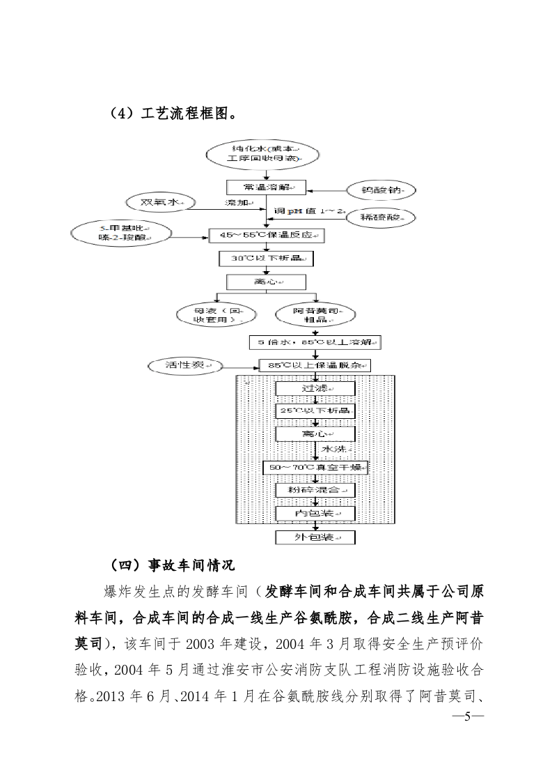江苏神华药业有限公司&ldquo;3&bull;7&rdquo;较大爆炸事故调查报告.doc 第5页