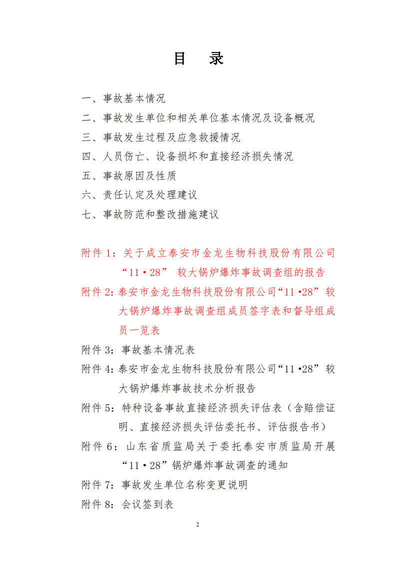 山东省泰安市金龙生物科技股份有限公司&ldquo;11.28&rdquo;较大锅炉爆炸事故调查报告 .pdf 第2页