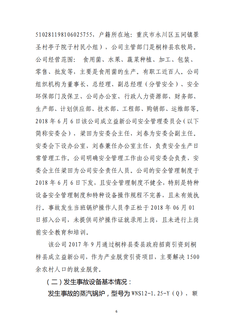 遵义市益新农业科技有限公司&ldquo;6.07&rdquo;锅炉爆炸较大事故调查报告.pdf 第6页