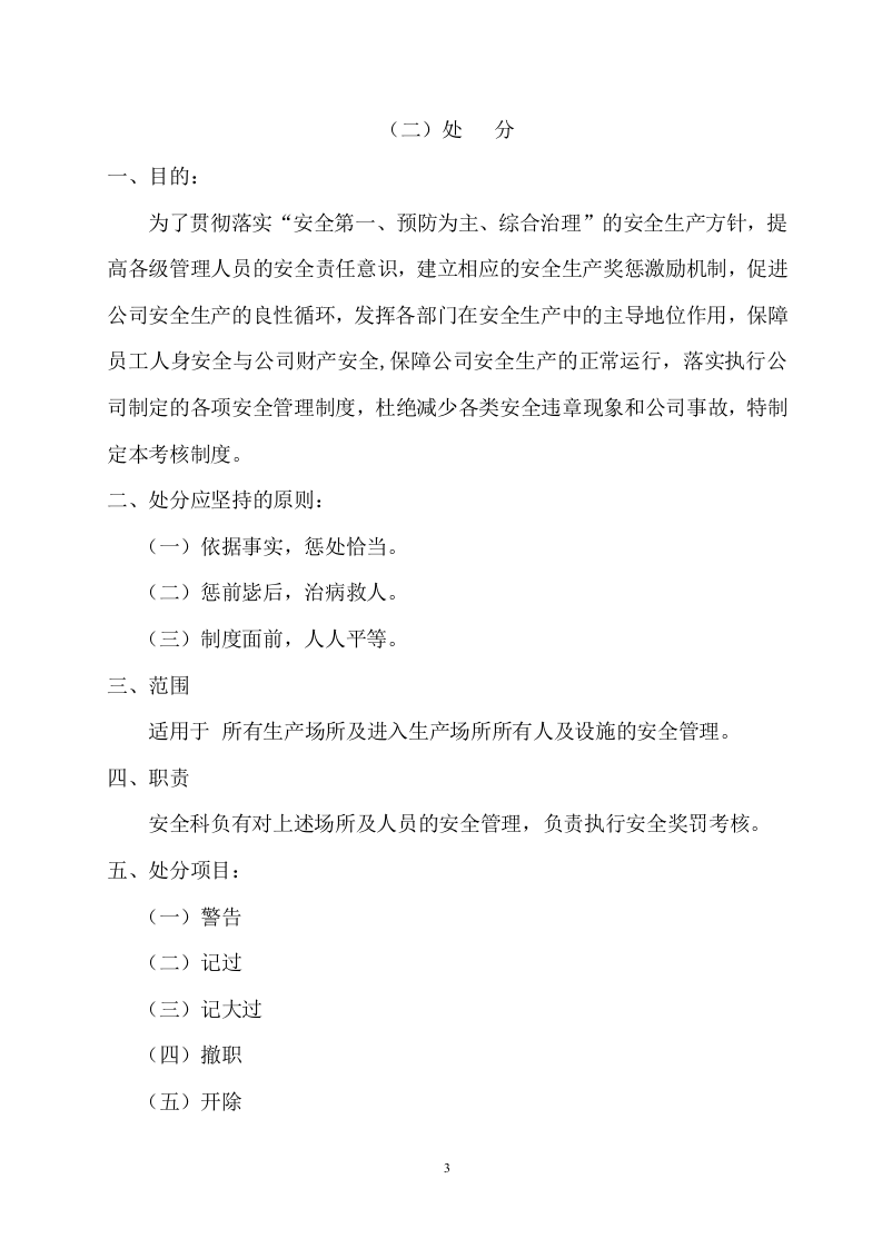 【04】公司安全绩效考核及奖惩细则.doc 第3页