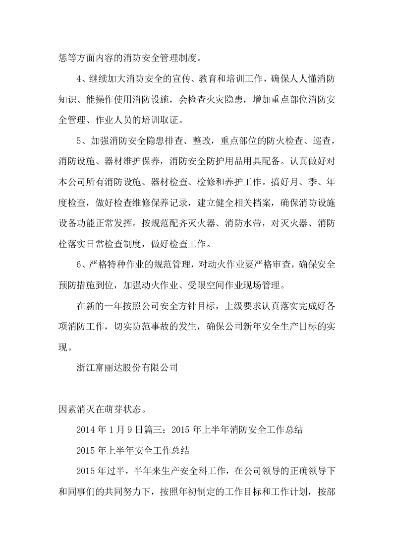 10.年度消防工作总结.docx 第5页