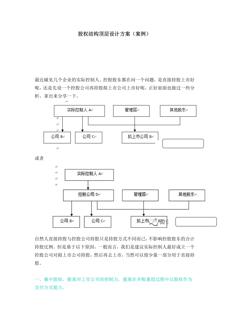 公司股权结构顶层设计方案(案例).docx 第1页