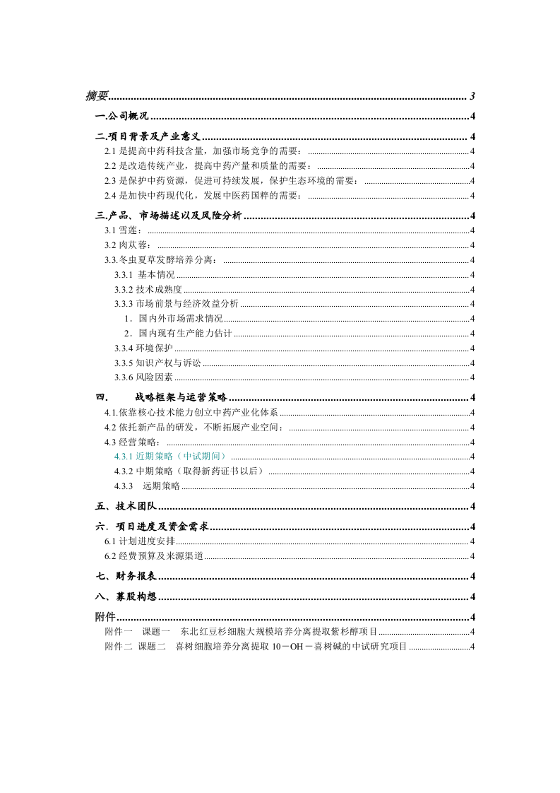 XX融资计划书.doc 第2页