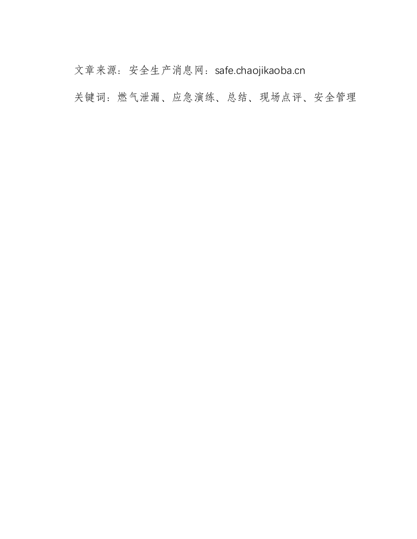 燃气泄漏应急演练总结和现场点评意见怎么写-积分文档.docx 第2页