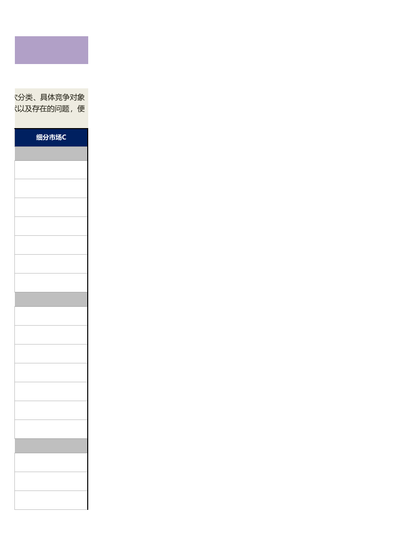 细分市场竞争分析及对策表1.xlsx 第3页