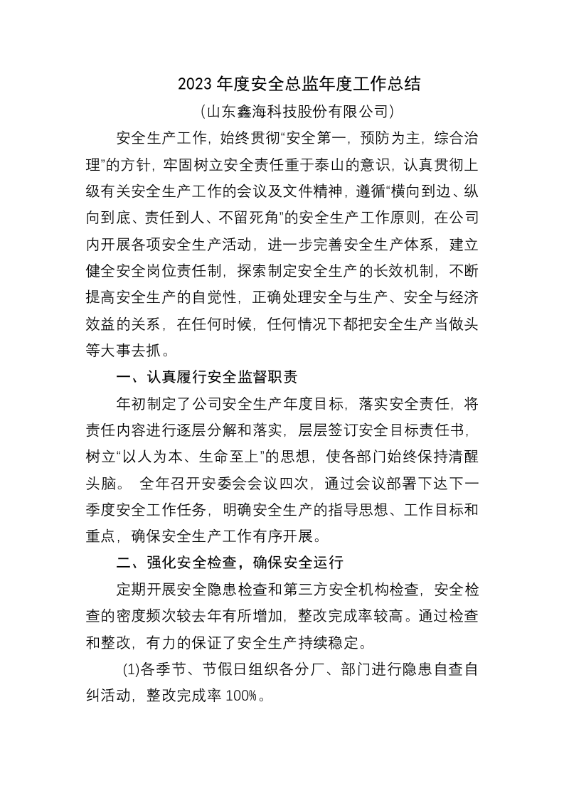2023年度安全总监年度工作总结.docx 第1页