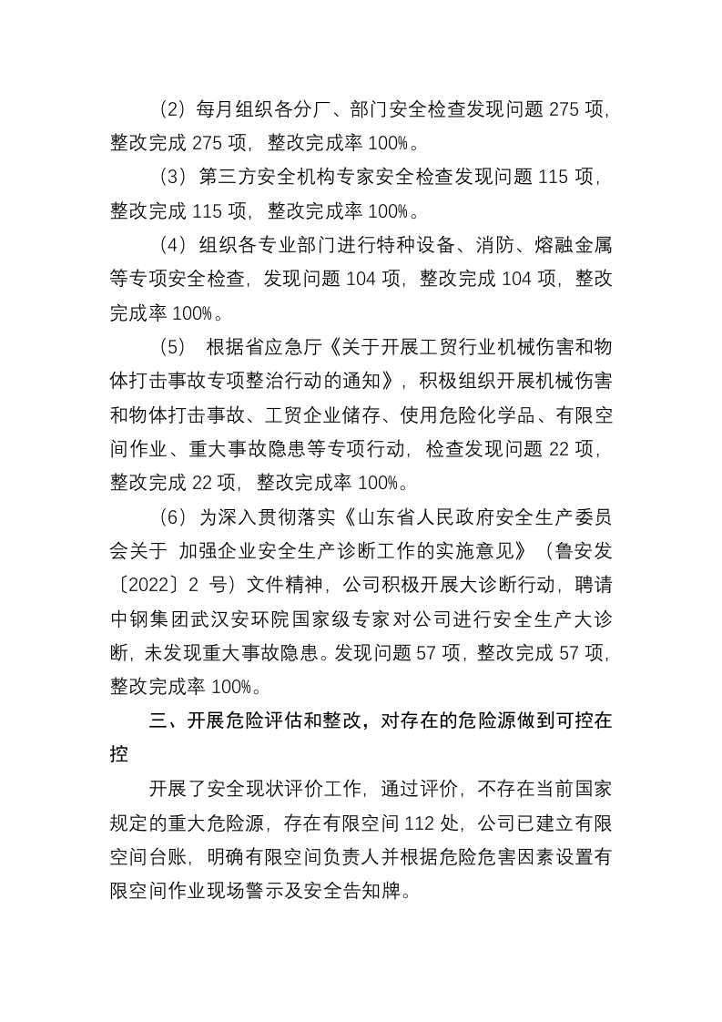 2023年度安全总监年度工作总结.docx 第2页