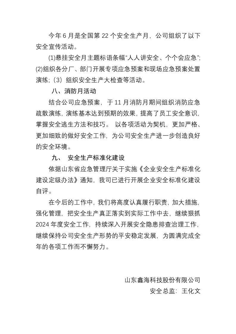 2023年度安全总监年度工作总结.docx 第4页