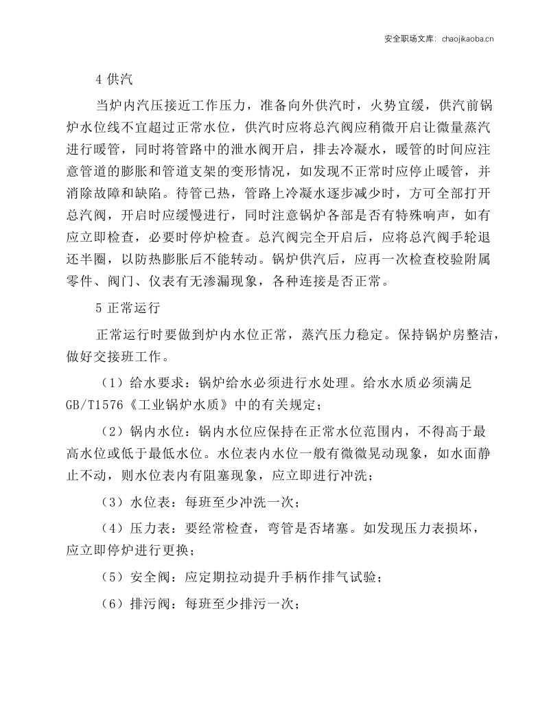 立式燃焦炭蒸汽锅炉安全操作规程.docx 第2页