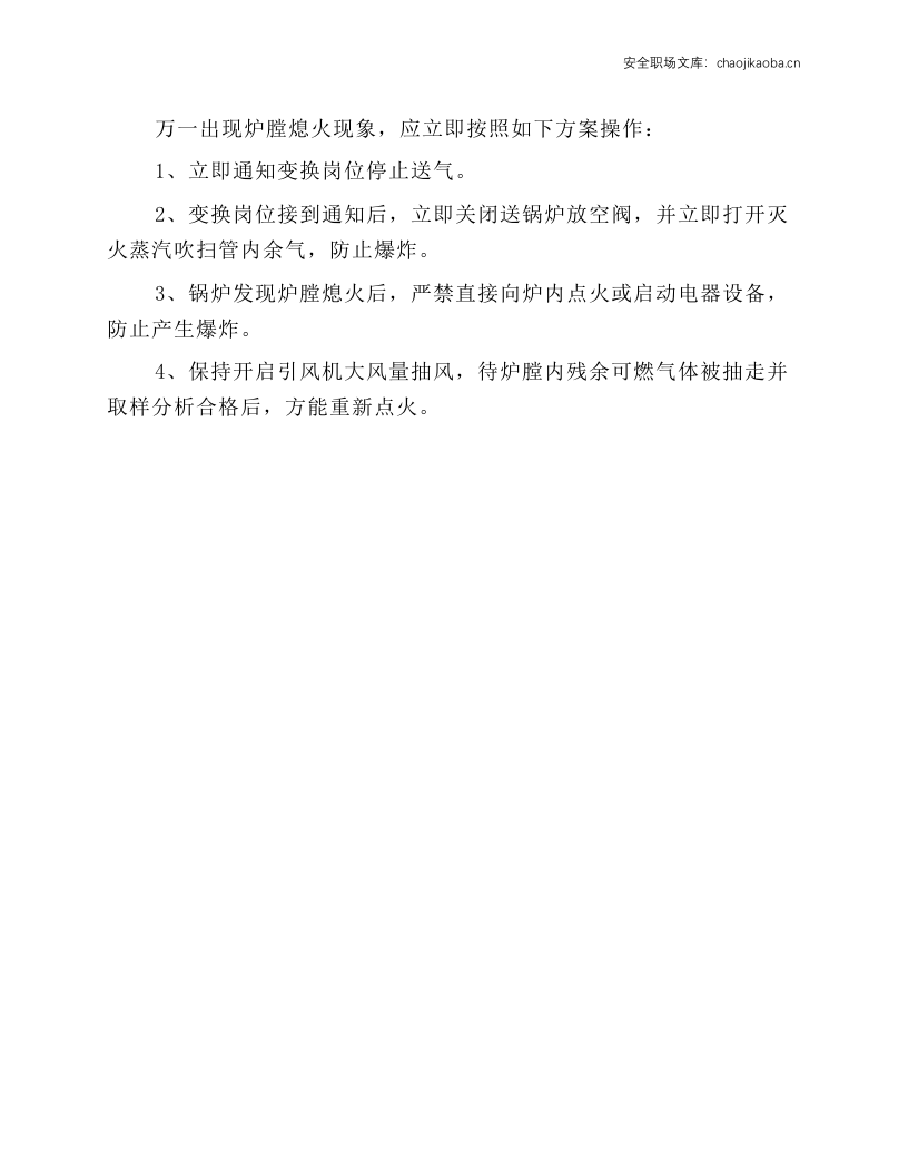 变换升温硫化放空气送锅炉燃烧安全操作规程.docx 第2页