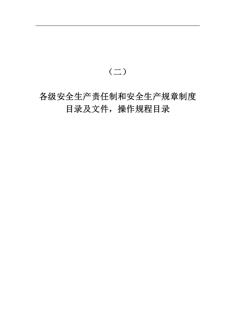 安全生产许可证申请资料(正本).docx 第4页