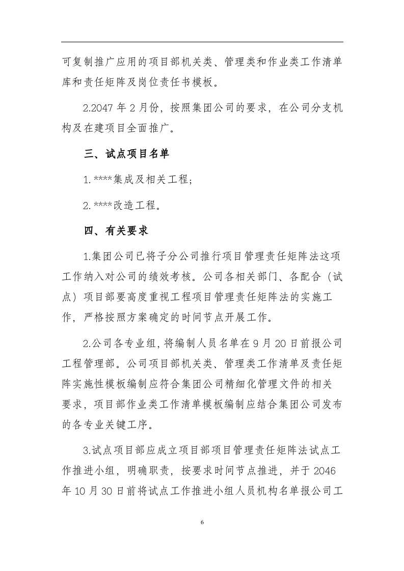 项目责任矩阵实施方案.docx 第6页