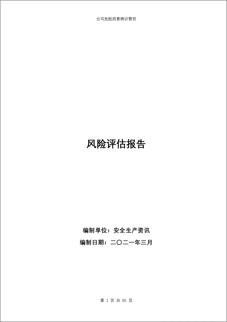 安全风险评估报告_21.docx 第1页