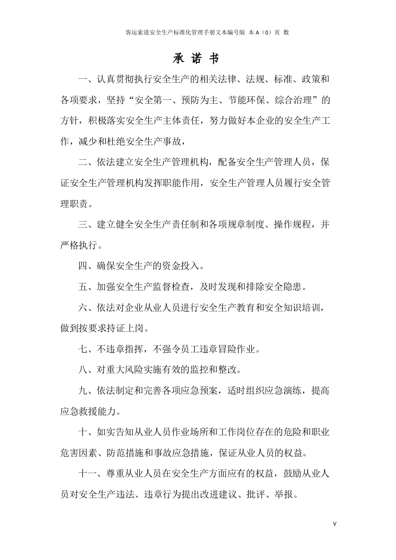 安全生产标准化管理手册(客运索道公司).docx 第6页