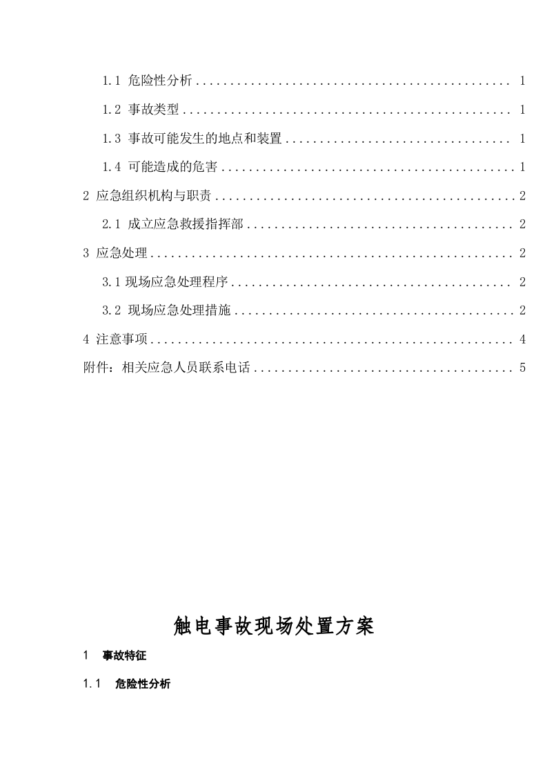 触电事故现场应急预案.docx 第3页