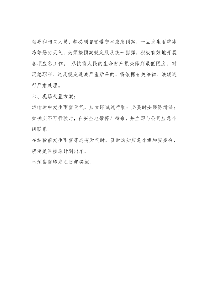 【方案】雨雪冰冻天气道路运输现场处置方案（3页）.docx 第3页
