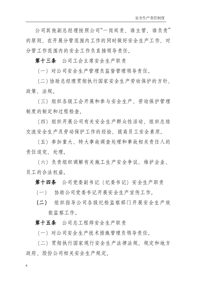 安全生产责任制-水电公司.docx 第5页