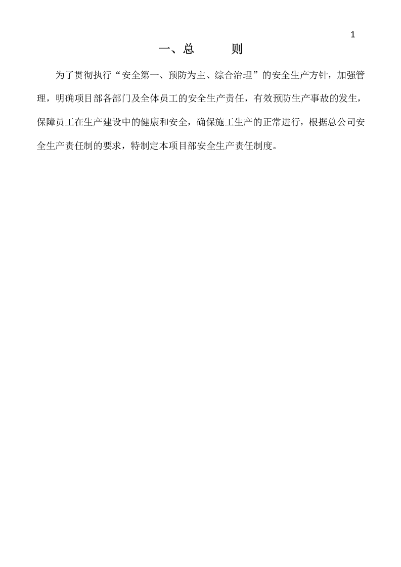 安全生产责任制-工程项目.docx 第5页