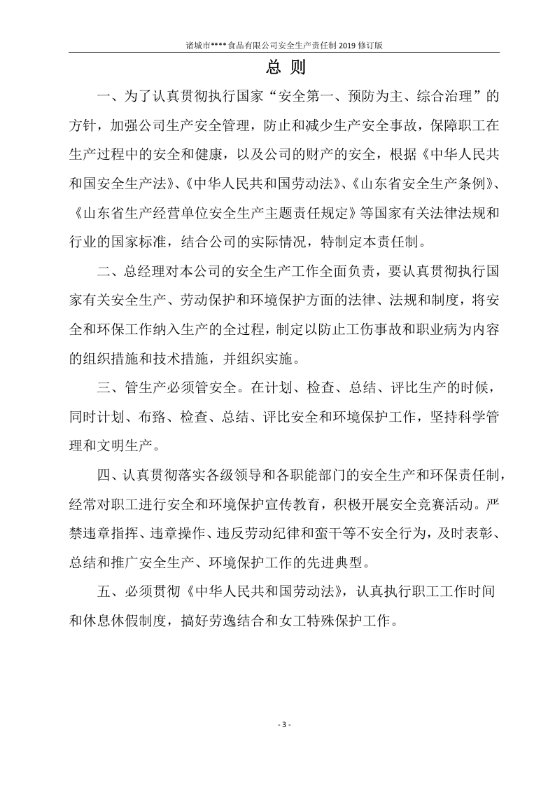 安全生产责任制（模板）.docx 第4页