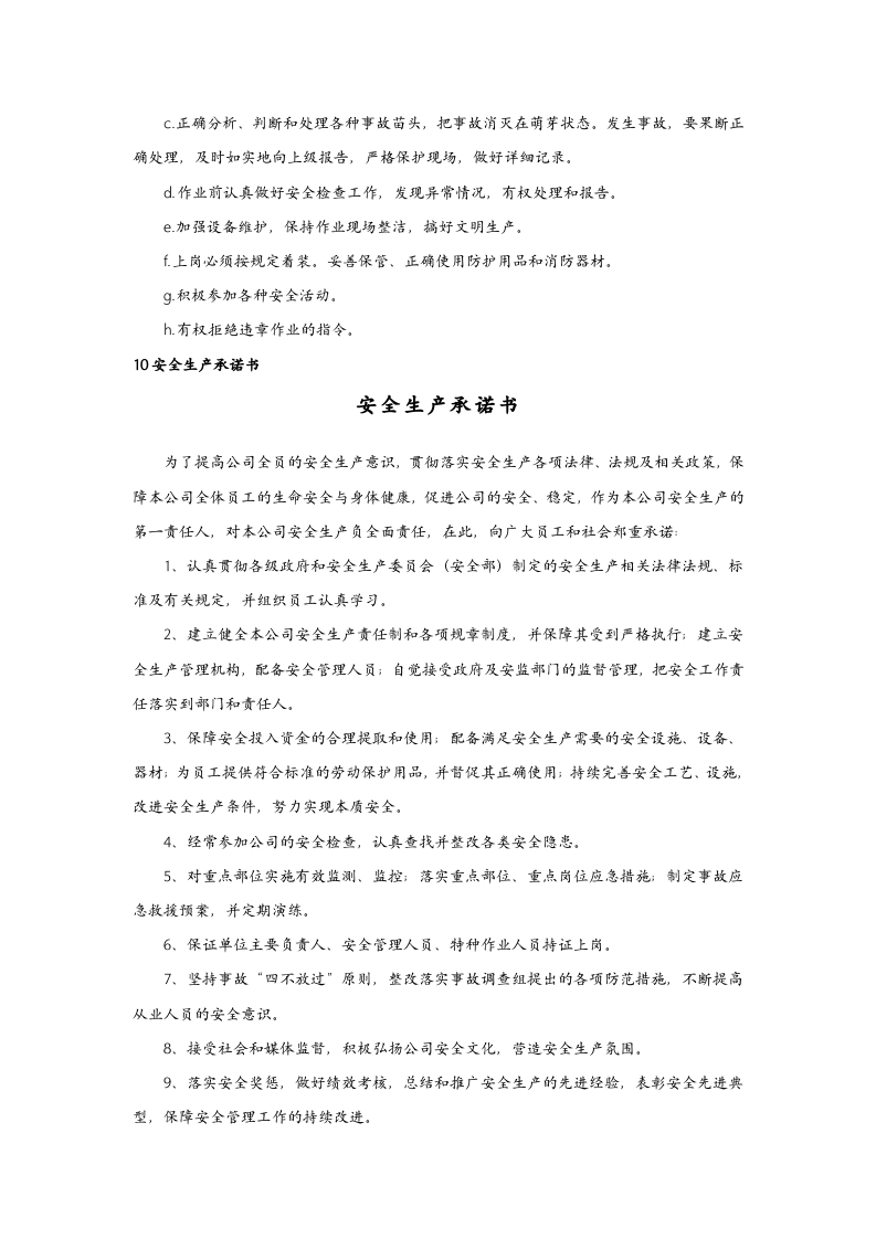 企业安全生产责任制责任划分.docx 第6页