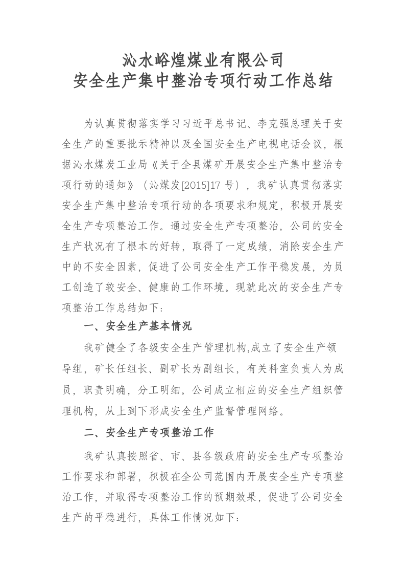 安全生产集中整治专项行动总结.docx 第2页