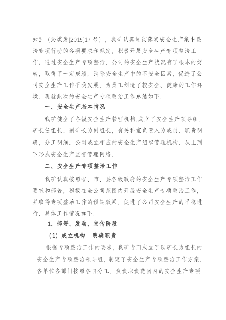关于开展安全生产集中整治专项行动工作总结.docx 第2页