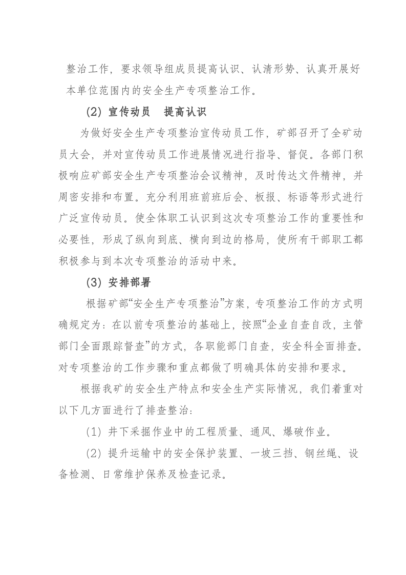 关于开展安全生产集中整治专项行动工作总结.docx 第3页