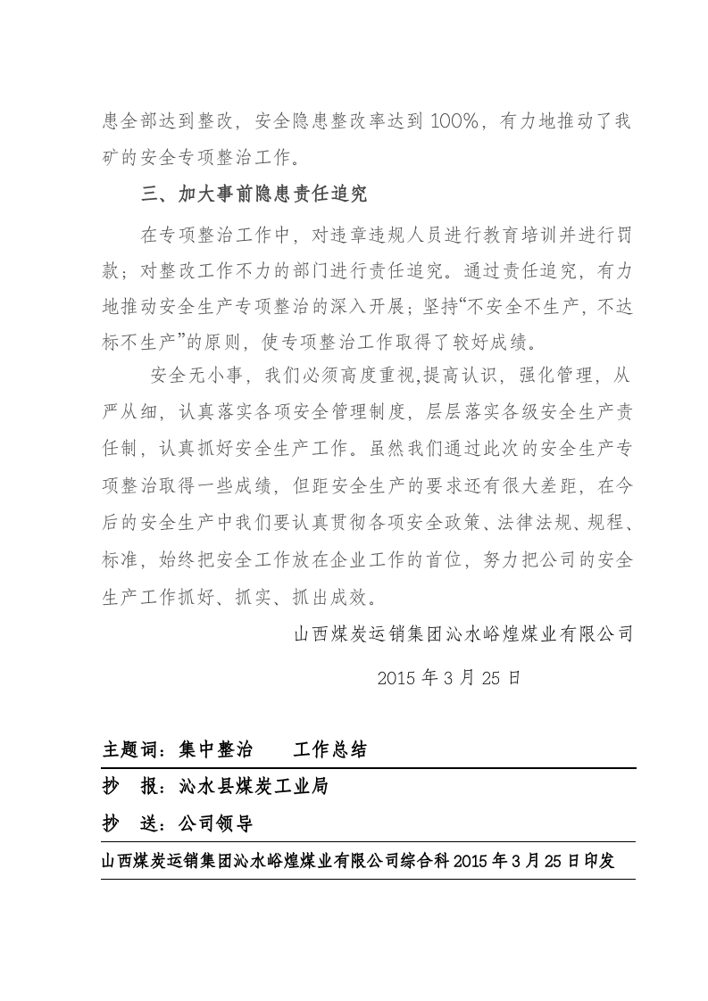 关于开展安全生产集中整治专项行动工作总结.docx 第5页