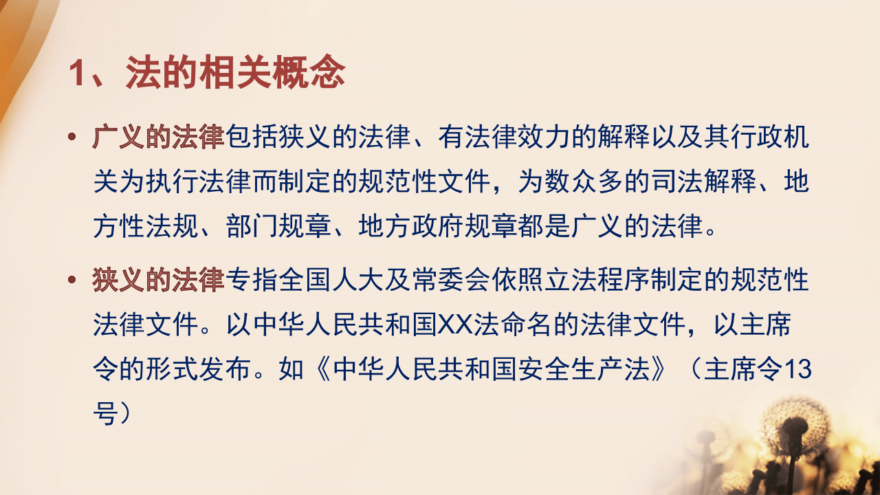 安全生产普法宣传周培训课件（59页）.pptx 第5页