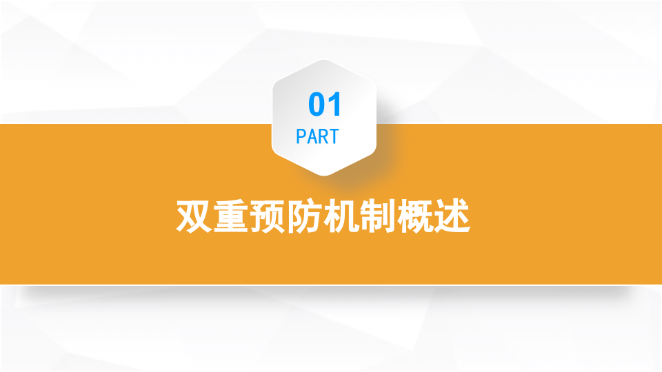 特种设备双体系建设培训（89页）.pptx 第3页