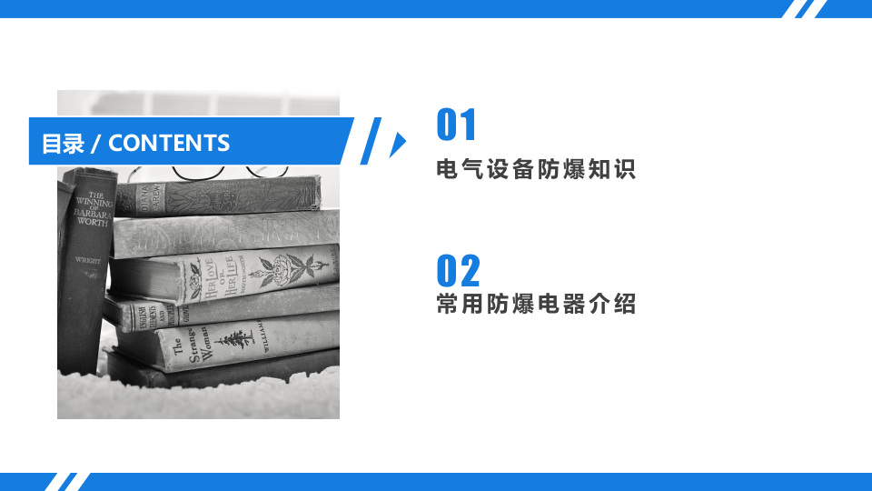 防爆电气基础安全知识.pptx 第2页