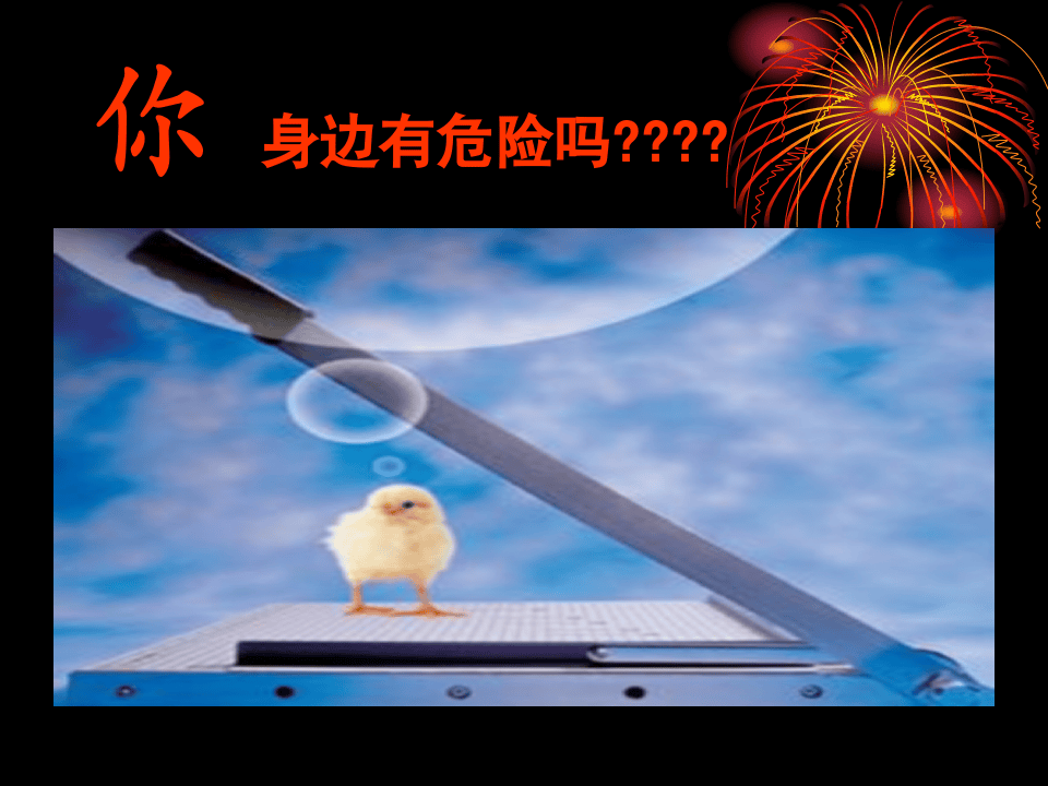 习惯性违章行为剖析(精）.pptx 第3页