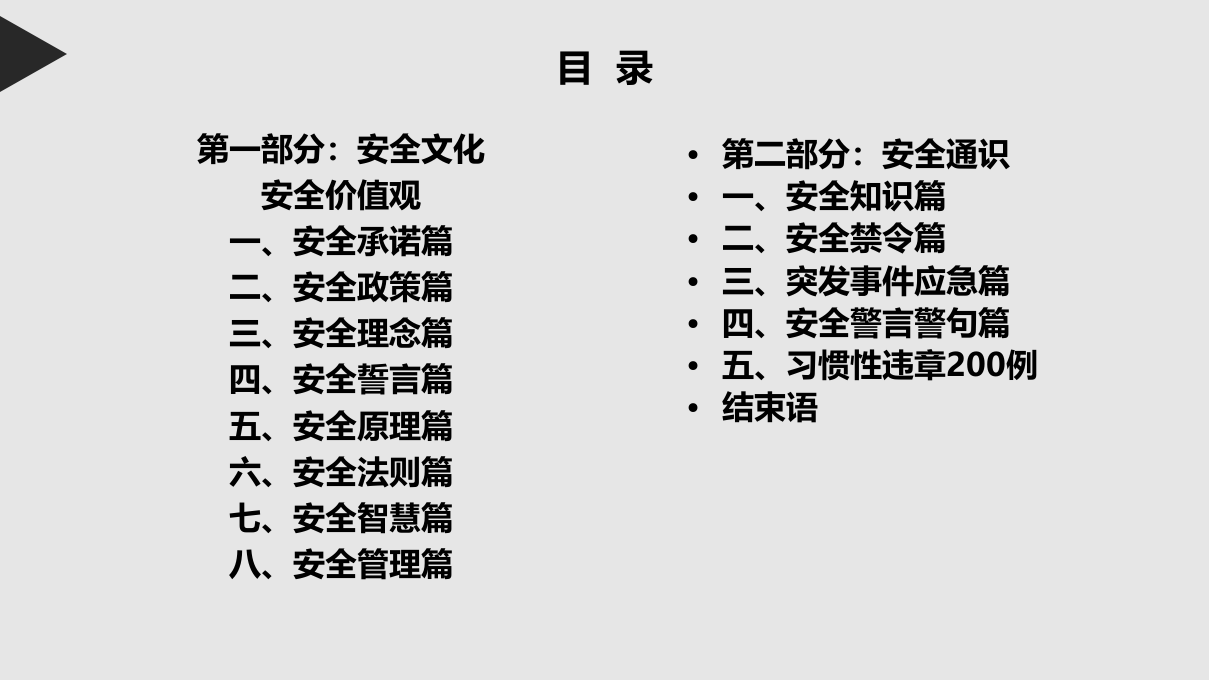 手册--安全文化手册163页.pptx 第2页