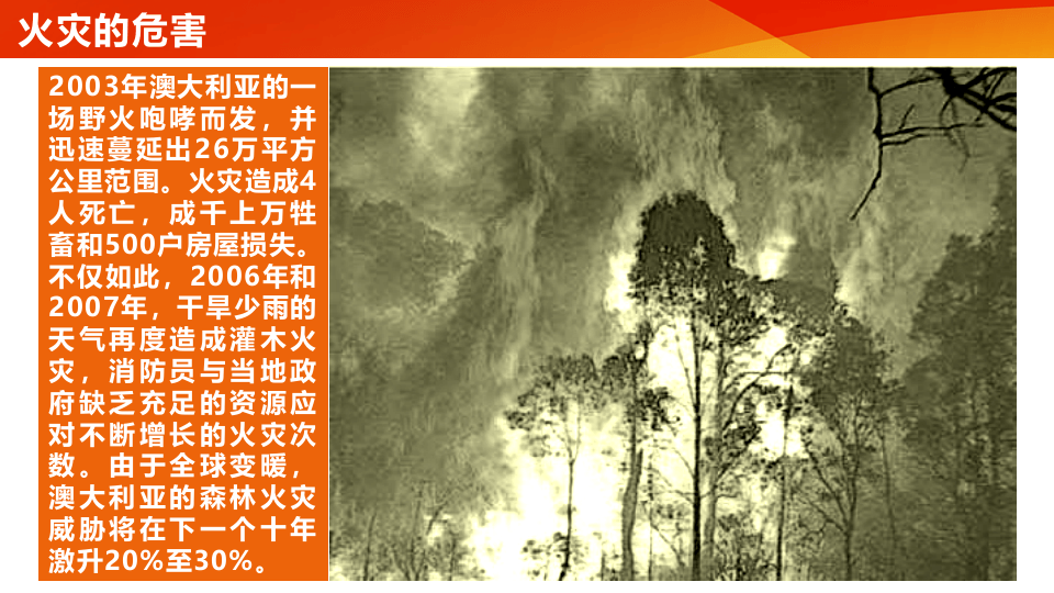 消防安全四个能力.pptx 第5页