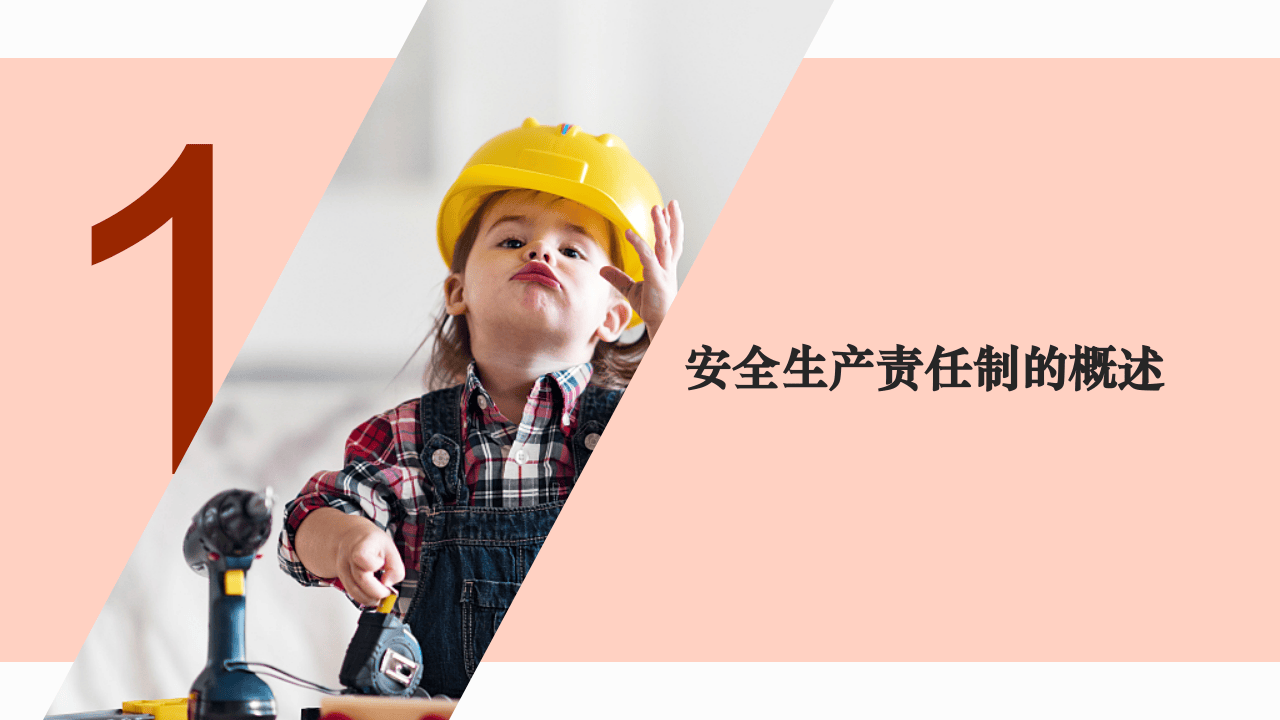 全员安全生产责任制专题培训.pptx 第5页