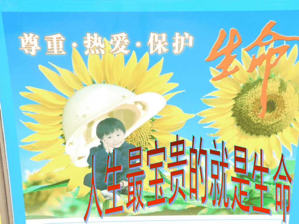 校园安全教育主题班会PPT.pptx 第2页