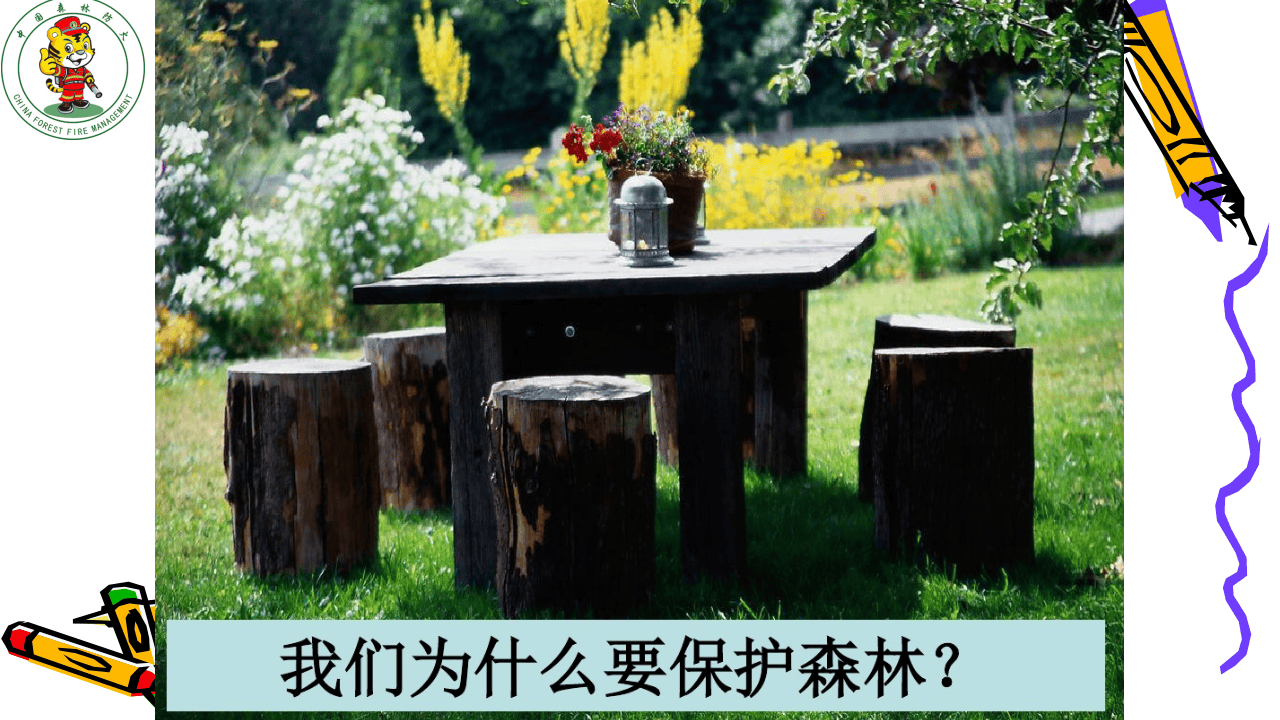 森林防火宣传PPT.pptx 第3页