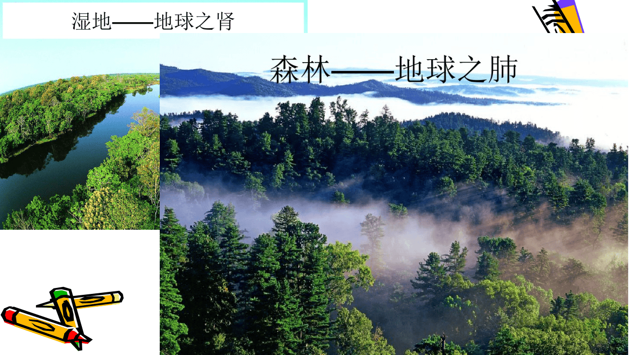 森林防火宣传PPT.pptx 第4页