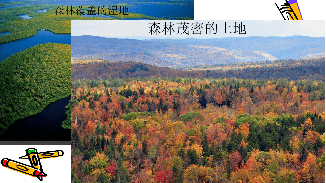 森林防火宣传PPT.pptx 第5页