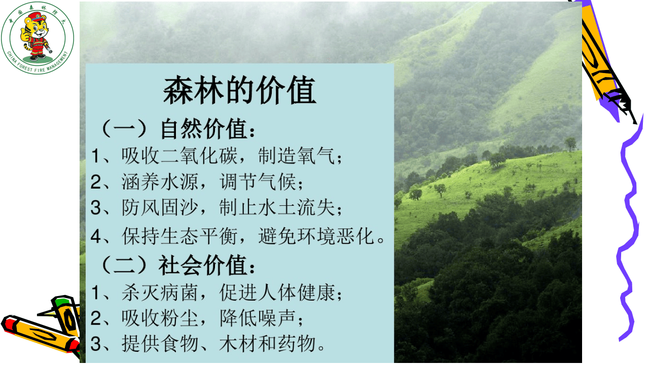 森林防火宣传PPT.pptx 第6页