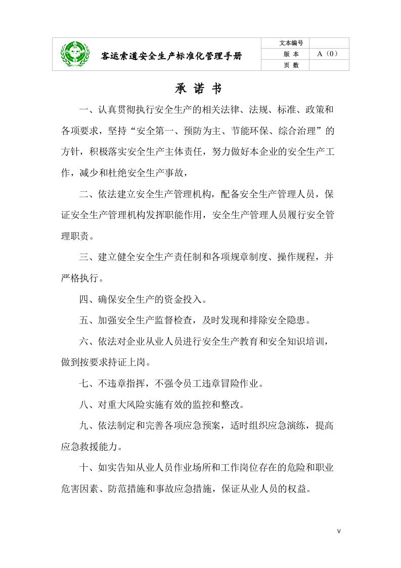 安全生产标准化管理手册(客运索道公司).docx 第6页