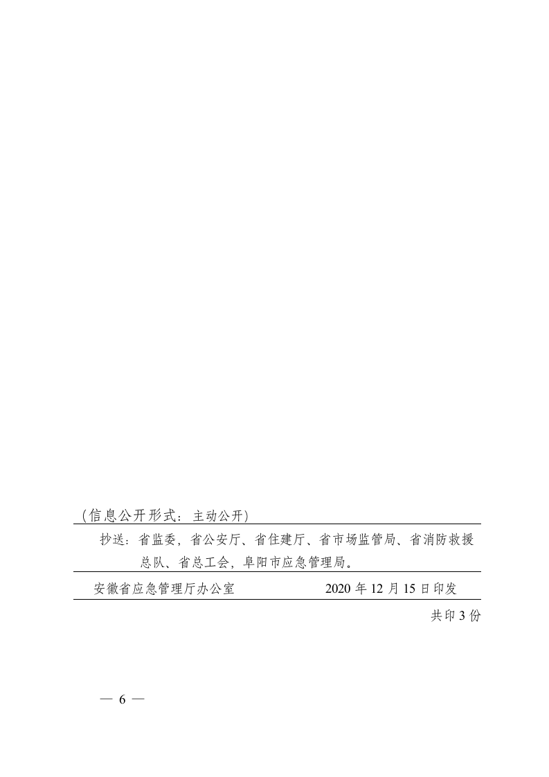 安徽省应急管理厅关于阜阳市颍上县&ldquo;2020&bull;3&bull;23&rdquo;较大火灾事故处理批复意见.docx 第6页