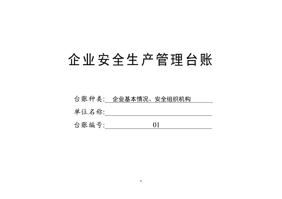 安全生产管理台账(上).docx 第6页