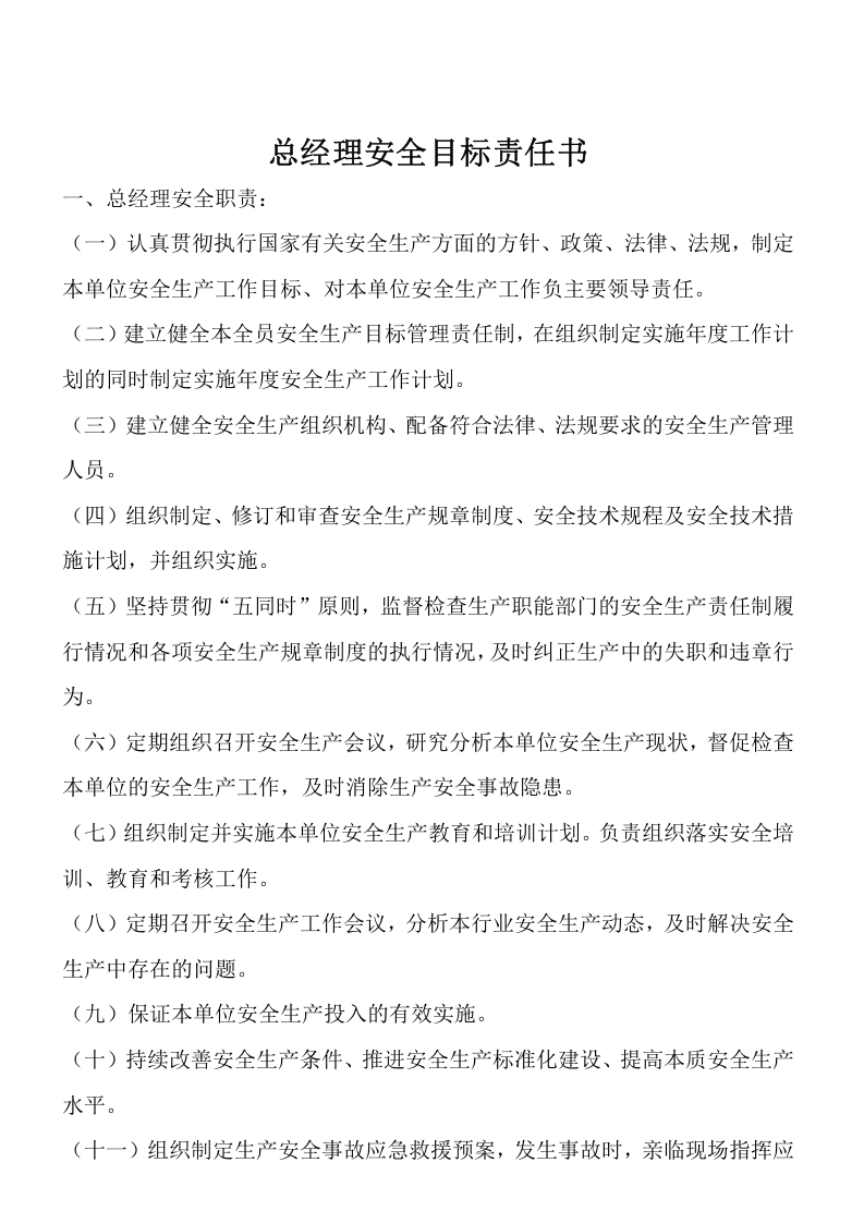 公司主要领导安全履职责任清单.docx 第3页