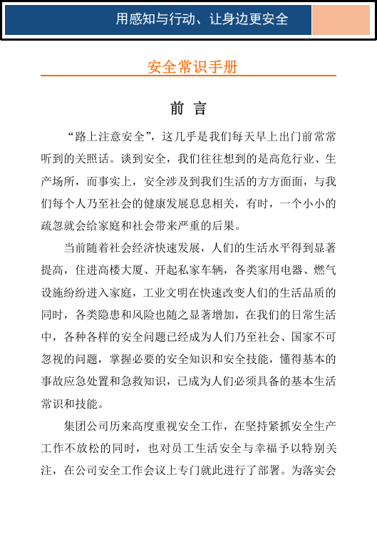 安全生产手册.docx 第2页